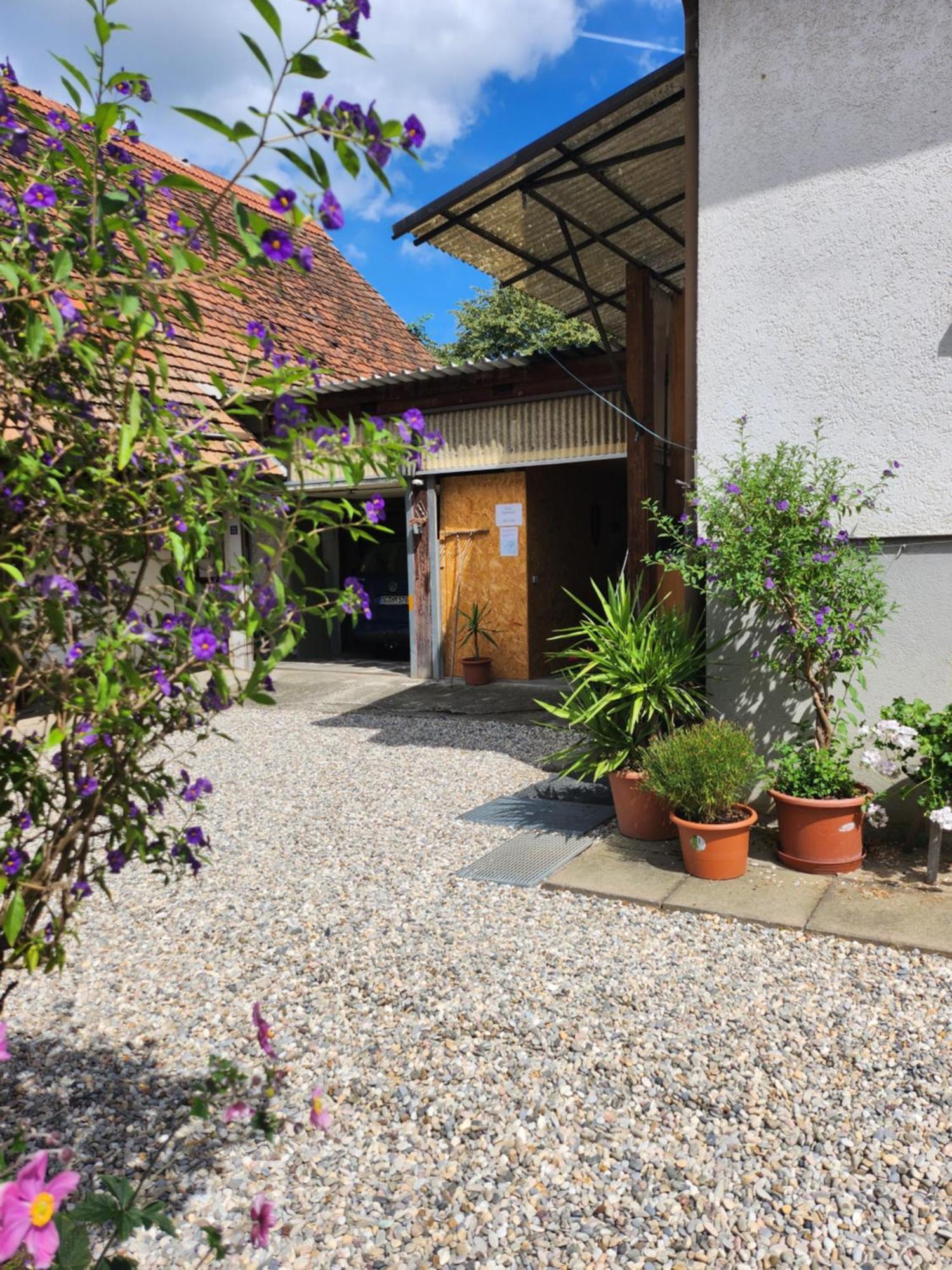 Apartamento Deluma Rust Exterior foto